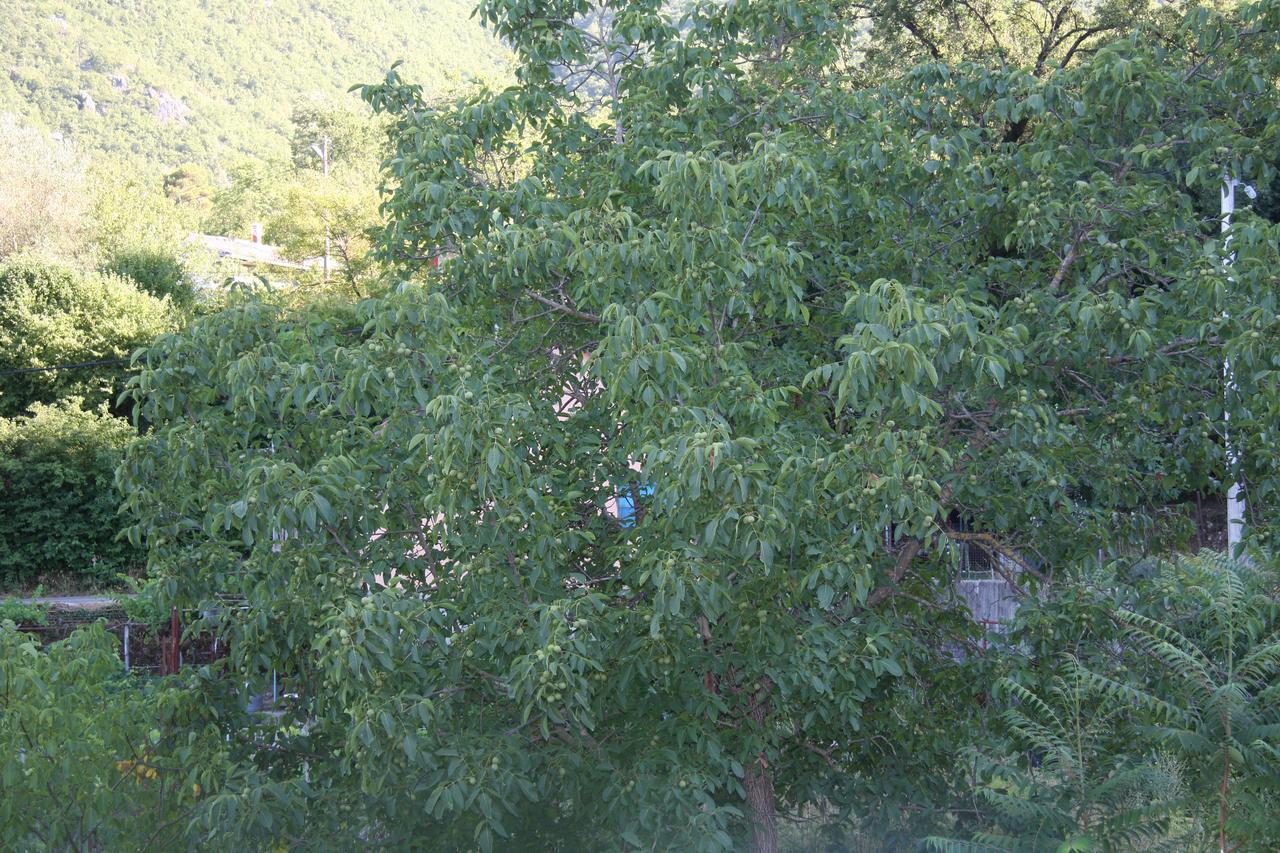 Vrzina Farm House Skadar Lake Вирпазар Екстериор снимка