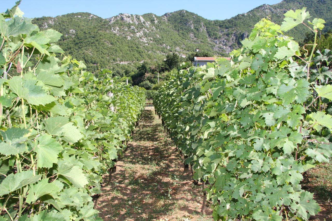 Vrzina Farm House Skadar Lake Вирпазар Екстериор снимка