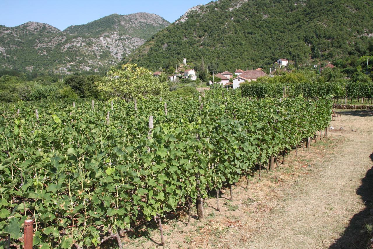 Vrzina Farm House Skadar Lake Вирпазар Екстериор снимка