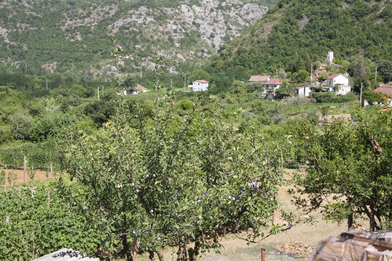 Vrzina Farm House Skadar Lake Вирпазар Екстериор снимка