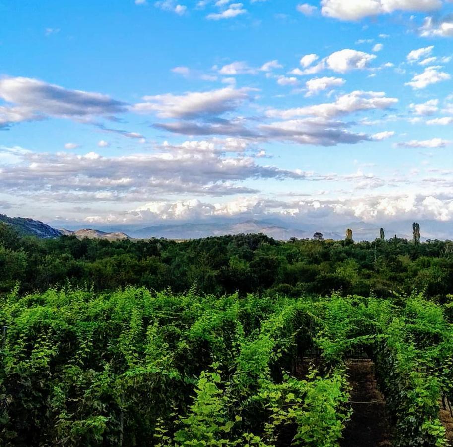 Vrzina Farm House Skadar Lake Вирпазар Екстериор снимка